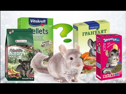 Видео: Проверяю известные корма для ШИНШИЛЛ на усилители вкуса!