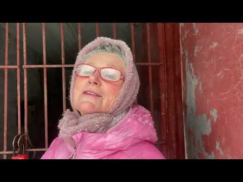 Видео: Хранение саженцев плодовых и ягодных культур в зимний период.