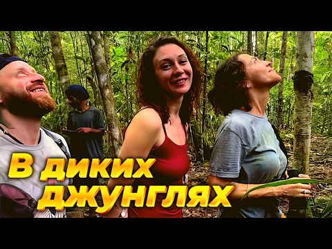 Видео: Новогвинейские приключения. Что нас ждёт? Серия 1.