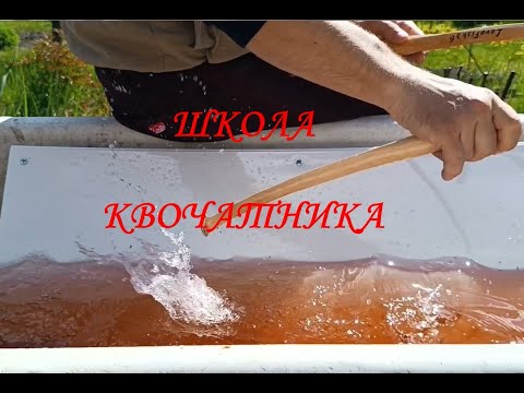 Видео: Учимся КВОЧИТЬ \ Школа квочатника \ #квок #сом #сомнаквок