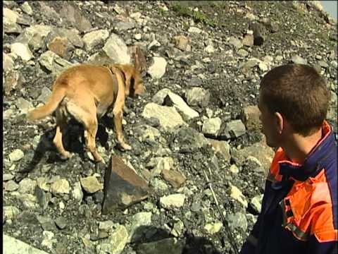 Видео: Колка 10 лет спустя