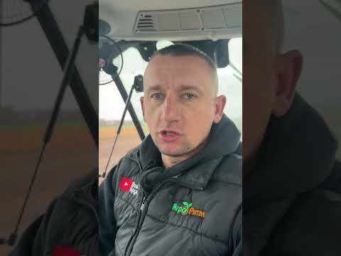 Видео: До 30 см іде