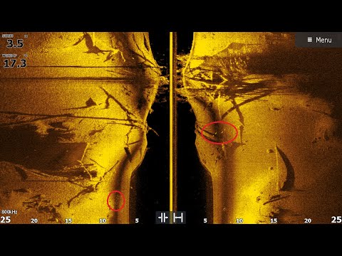 Видео: Разбор скриншотов с эхолота Lowrance. Как выглядит рыба и коряги в эхолоте! Короткий отчет с рыбалки