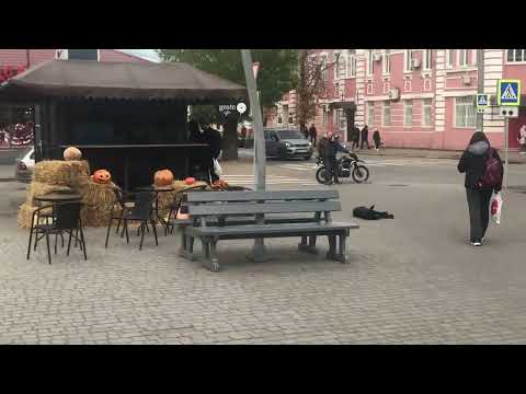 Видео: Павлоград🌺Белая одежда -это зимняя классика!👍Купила светлое!👍