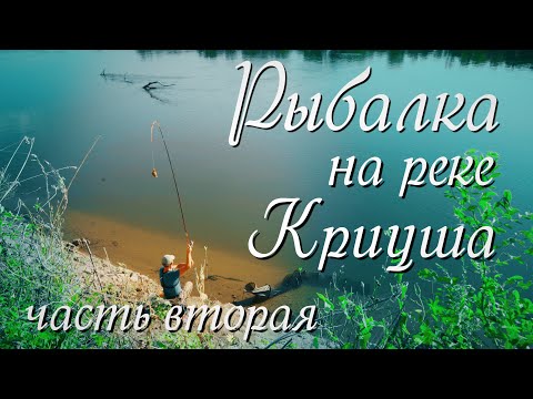 Видео: Рыбалка на реке Криуша часть вторая