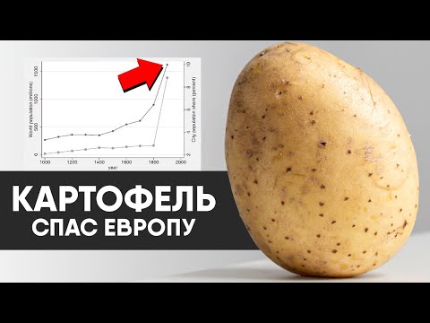 Видео: Как картофель изменил историю Земли.