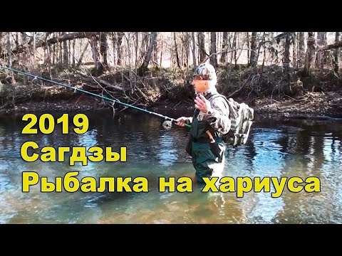 Видео: Ловля хариуса осенью в малых реках Кабибыла и Сагдзы