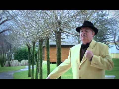 Видео: Веска Марешка и Иван Ненов-  Страстно обичам