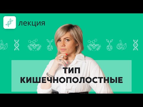 Видео: Тип Кишечнополостные