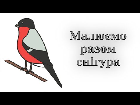 Видео: Як намалювати снігура легко / How to draw a bullfinch easy step by step