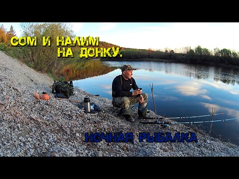 Видео: СОМ И НАЛИМ НА ДОНКУ, НОЧНАЯ РЫБАЛКА 2022 #СОМИНАЛИМ #ЗАБАЙКАЛЬЕ #ФИШКА