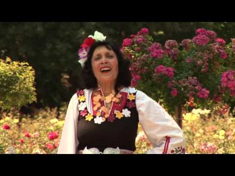 Видео: Петранка Драгиева- Цъфнало цвете
