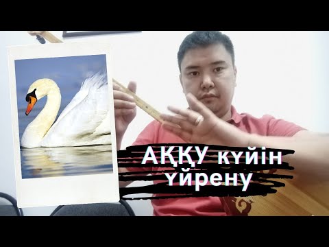 Видео: Қиын емес! Аққуды да үйрен