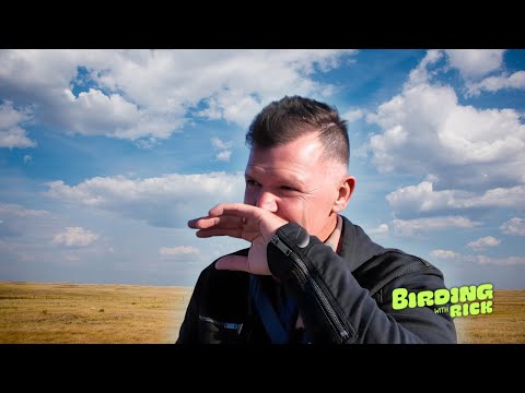 Видео: Я заплакал, когда увидел эту птицу!