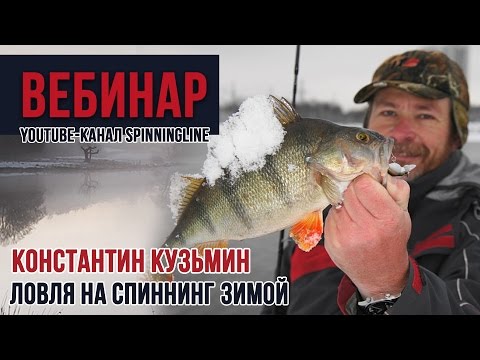 Видео: Ловля на спиннинг зимой. Советы от Константина Кузьмина!