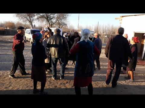 Видео: Аккыр