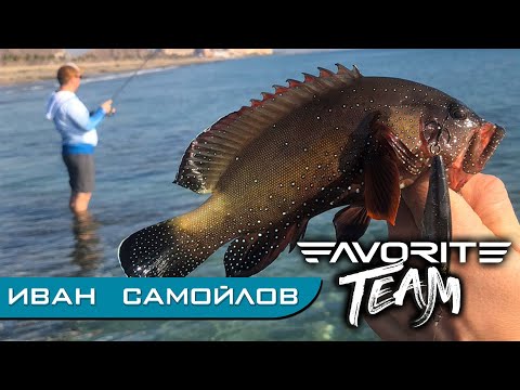 Видео: Бюджетная морская рыбалка с берега в ОАЭ. Тестирование прототипов Favorite Skyline. Favorite Team.