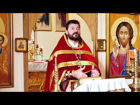 Видео: Истина и единство