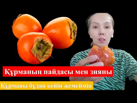 Видео: Құрманың адам өміріне тигізер пайдасы мен зияны