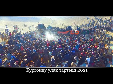 Видео: Бүргөндү   Улак тартыш  24.01. 2021.