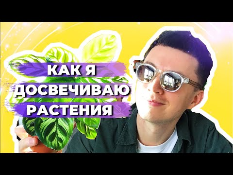 Видео: Подсветка для Комнатных Растений » Светильники IKEA и LED лампы