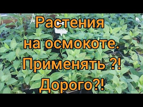 Видео: Про ОСМОКОТ . Показываю растения с ним и без него.