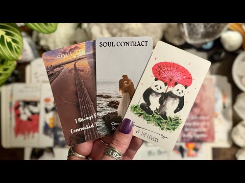 Видео: ТЕЛЕЦ! Ты и они! Это произойдёт скоро! Не торопитесь! ♉️ ВНЕ ВРЕМЕНИ ♉️