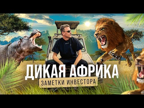 Видео: 🏕️ Инвестируем в САФАРИ? Лоджи, кемпы среди дикой природы Танзании!