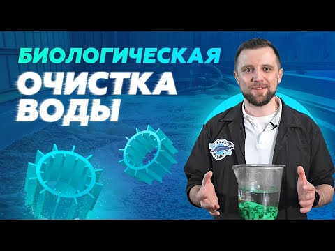 Видео: Биологическая ОЧИСТКА ВОДЫ в УЗВ | Типы БИОФИЛЬТРОВ и ИХ ОТЛИЧИЯ | Бизнес на УЗВ