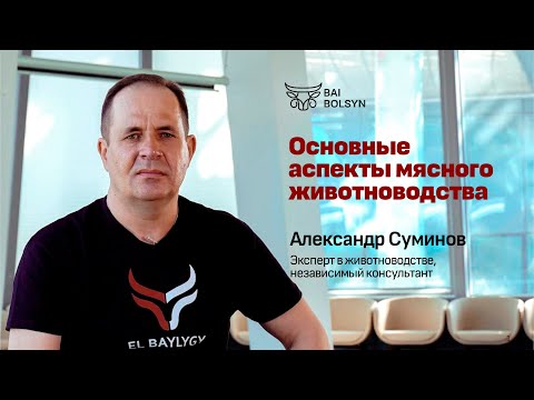 Видео: Основные аспекты мясного животноводства, жизненный цикл КРС — Александр Суминов | EL BAYLYGY