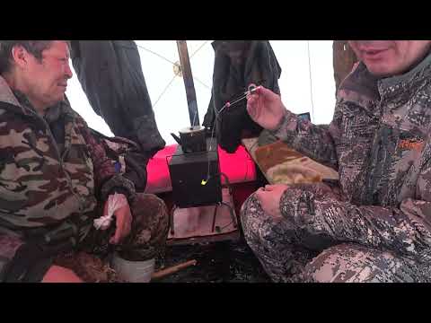 Видео: Крупные Окуни реки Лена. Выпуск 2. Жерлицы.