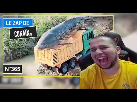 Видео: МАНУРИН СМОТРИТ Le Zap de Cokaïn.fr n°365 приколы / смешное видео
