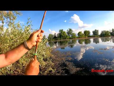 Видео: Най-добрите риболовни излети за 2024 година