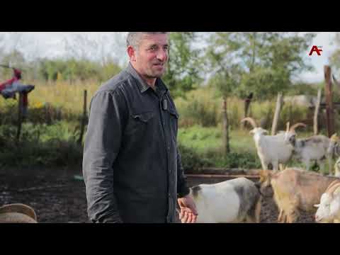 Видео: Анхаҩы.Араду. Адлеиаа рҭаацәара