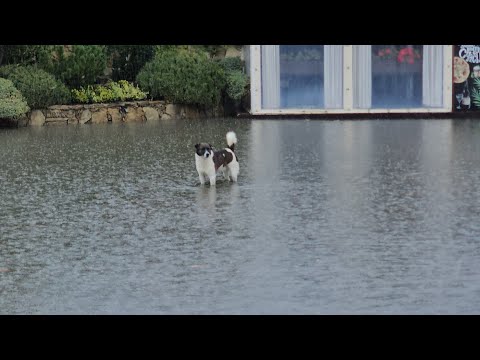 Видео: ШОК #Анапа - ПОТОП СЕЙЧАС В ГОРОДЕ! СРОЧНО - СМЫВАЕТ ПЛЯЖ! 