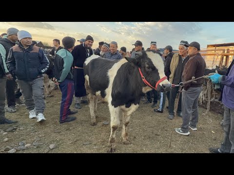 Видео: МОЛБОЗОРБА САВДО ЗУР БОШАТОМОШО КНЕН НАРХИ ЧОРВО 2 ноября 2024 г.