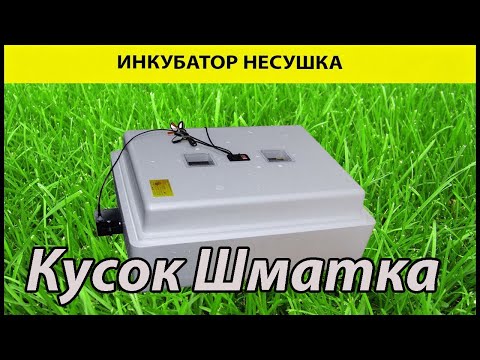 Видео: Инкубатор Несушка И С Первого Дня Ты Расхочешь Разводить Цыплят