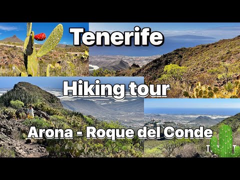 Видео: Тенерифе От Ароны до вершины Роке Дель  Конде . Никогда не трогай кактус !!! #таещекулинарка