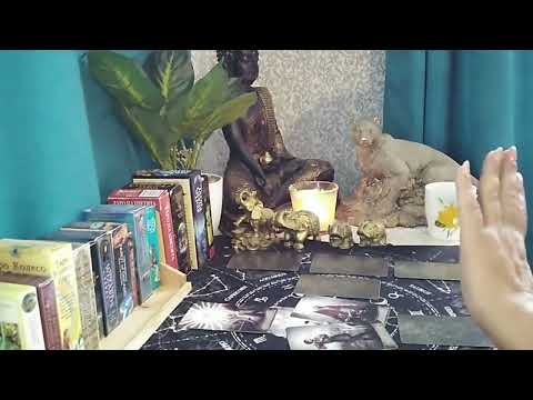 Видео: Развитие и преспектива на ситуацията в която се намирате👁😎🎯💫