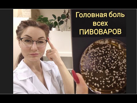 Видео: Пивные дрожжи. Почему дрожжи не работают. Почему пиво не получается.