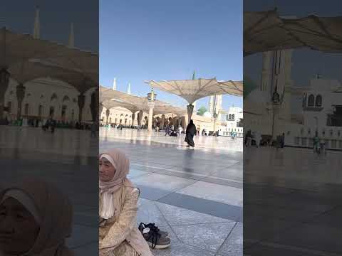 Видео: Мешіттермен таныстыру 4 (Медина)