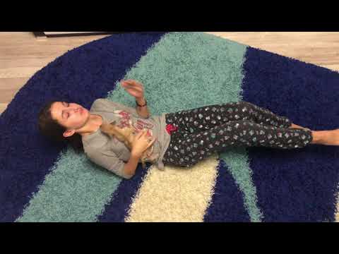 Видео: ЖУТКОЕ ПОВЕДЕНИЕ ЧИХУАХУА! В ЧЕМ ПРИЧИНА???