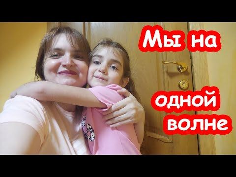 Видео: VLOG Где же наша Маха. Когда отдадим котят