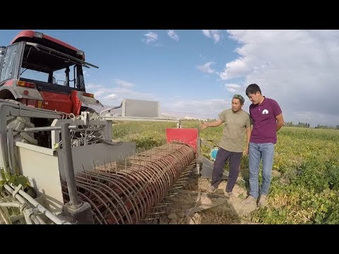 Видео: Биздин айыл/ Ак-Дөбө айылы/ 2019