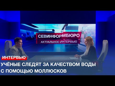 Видео: Севастопольские учёные следят за качеством воды с помощью моллюсков