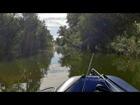 Видео: Рыбалка Кизомыс Окунь Щука приятные моменты