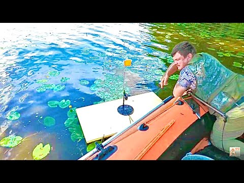 Видео: Рыбалка в кувшинках. Это что-то ненормальное 😂