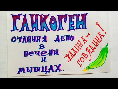 Видео: Отличие гликогена печени и мышц. Биохимия