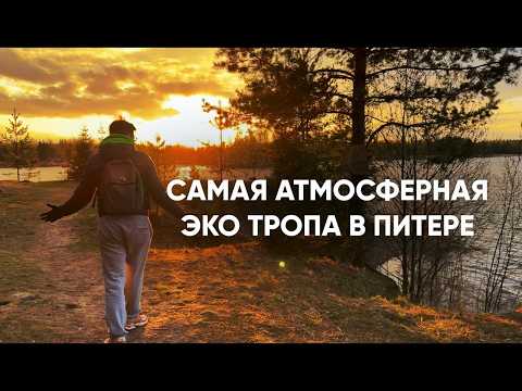 Видео: КТО ЖЕ ЗНАЛ ЧТО БУДЕТ ТАК КРАСИВО!! СЕВЕР МШИНСКОГО БОЛОТА