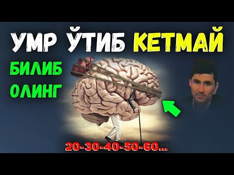 Видео: Вақт борида тинганг, зўр яшайсиз 💯!|Абдуллох Домла |Abdulloh Domla |Ilmnuri #yangimaruza #ilmnuri 